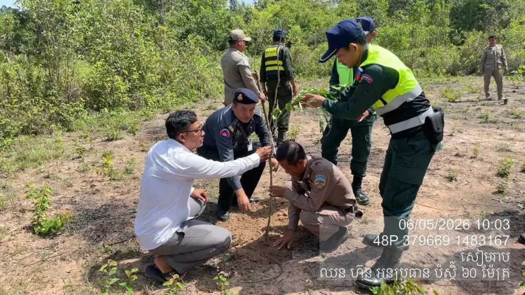 អាជ្ញាធរជាតិអប្សរាសហការជាមួយរដ្ឋបាលក្រុងសៀមរាប ដាំកូនឈើ៦០០ដើមក្នុងភូមិក្រវ៉ាន់ សង្កាត់នគរធំ