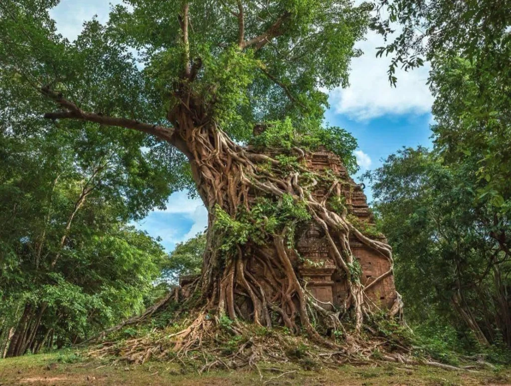 ព្រះរាជសារ របស់ ព្រះករុណាជាអម្ចាស់ជីវិតលើត្បូង​ ក្នុងឱកាសអបអរសាទរខួបជាប្រវត្តិសាស្ត្រ​ ៩ឆ្នាំ នៃការចុះបញ្ជីតំបន់ប្រាសាទសំបូរព្រៃគុក ជាសម្បត្តិបេតិកភណ្ឌពិភពលោក (៨ កក្កដា ២០១៧ – ៨ ​កក្កដា ២០២៦)